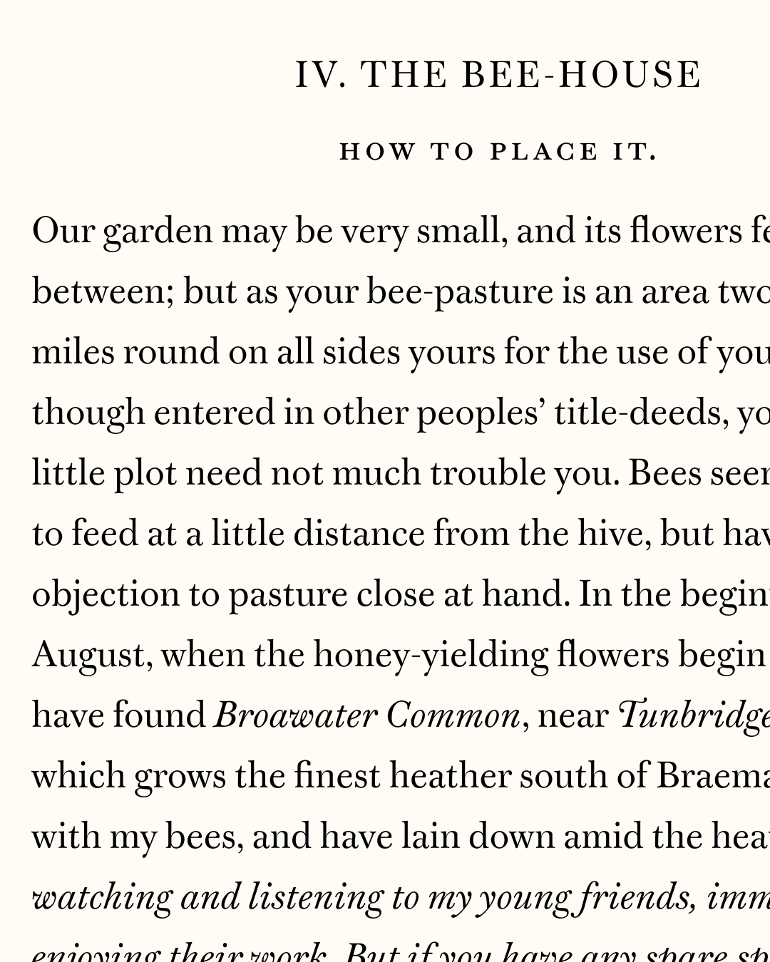 Warbler book cover sample