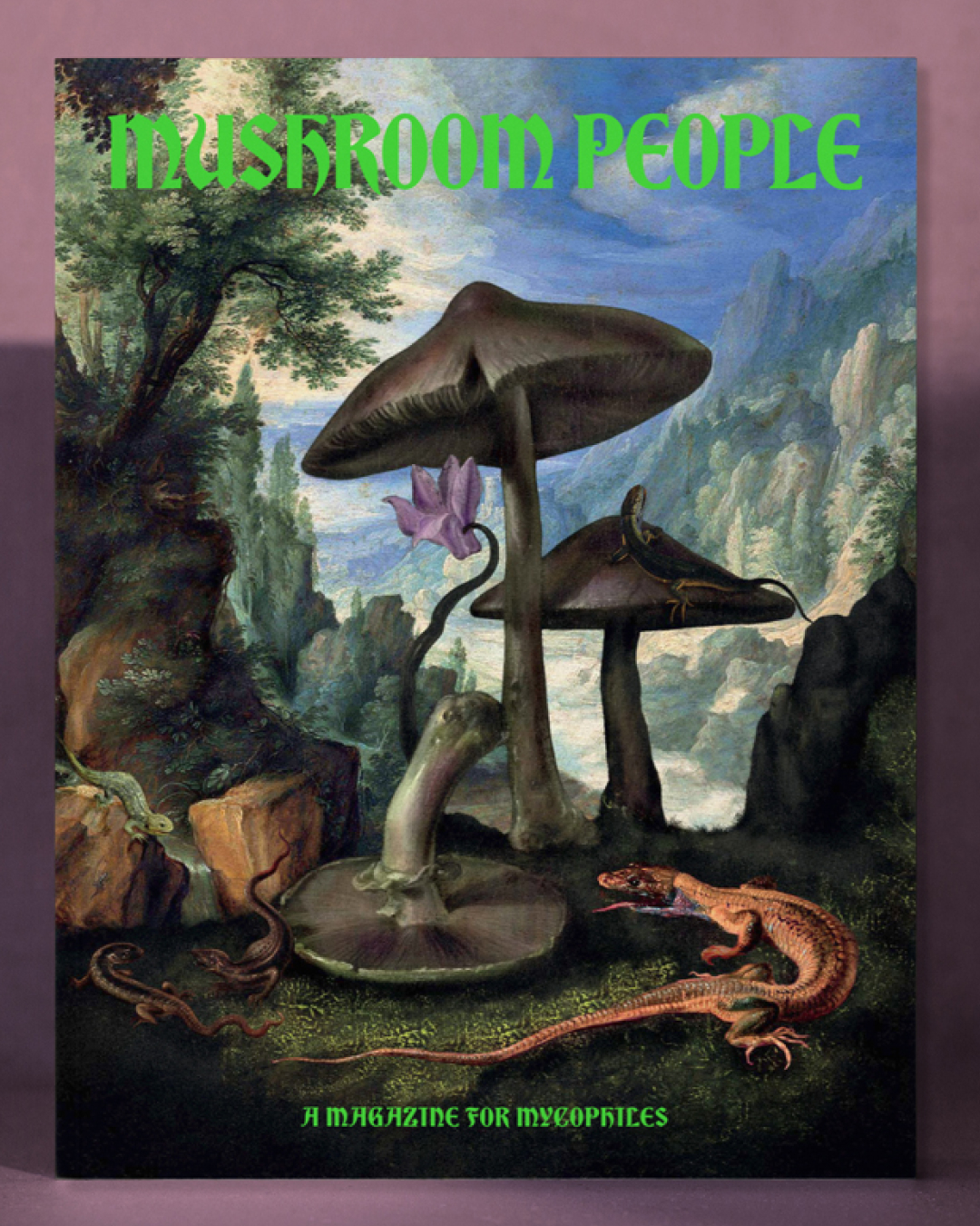 Mushroom People, using Bradley DJR and others